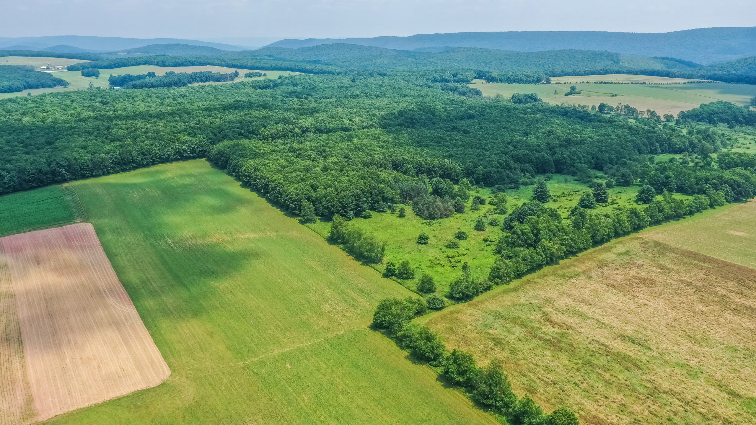 Deep Creek Lake Lots and Land